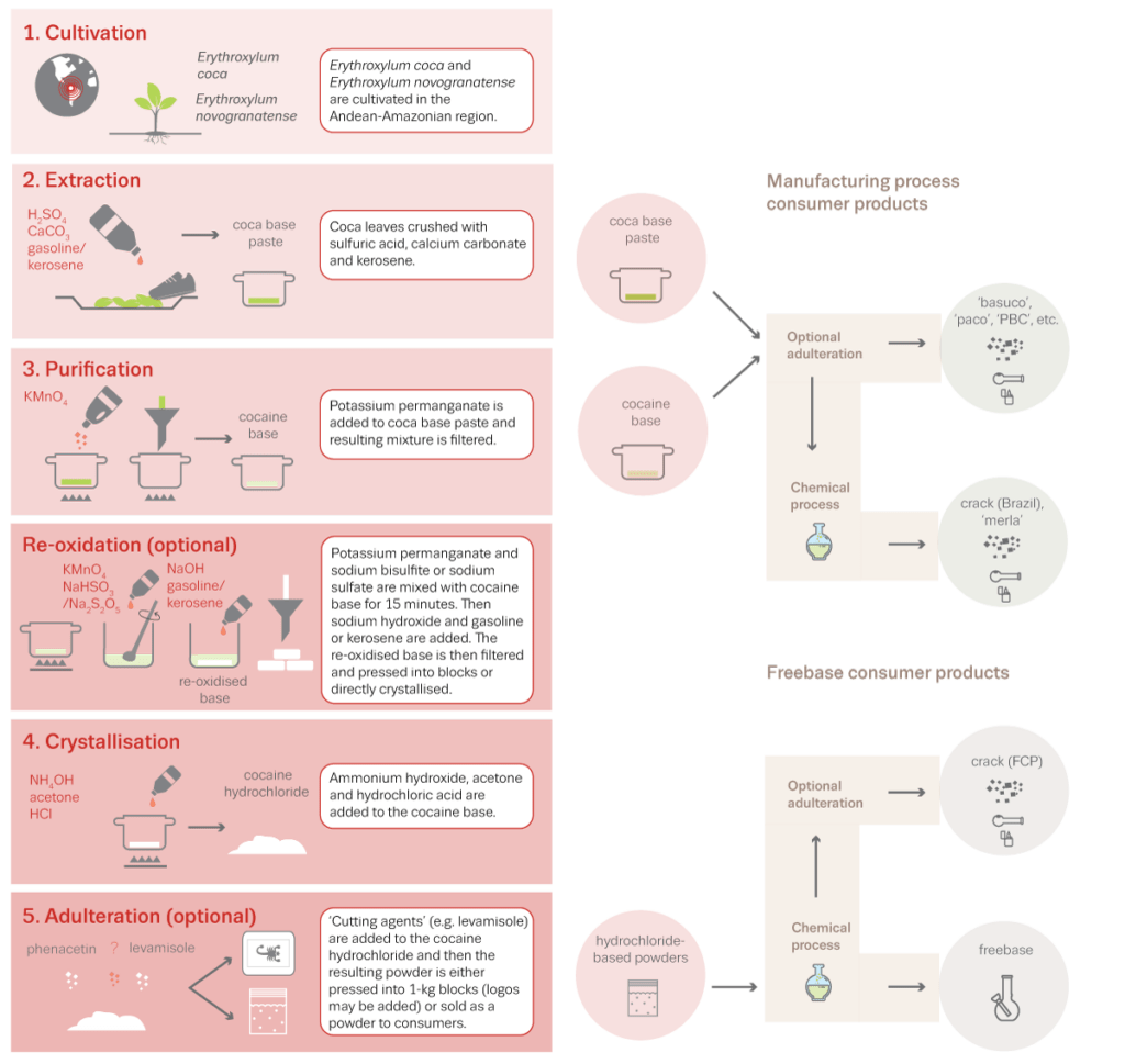 Cocaine Production In The 19th Century Unveiling The Manufacturing Process