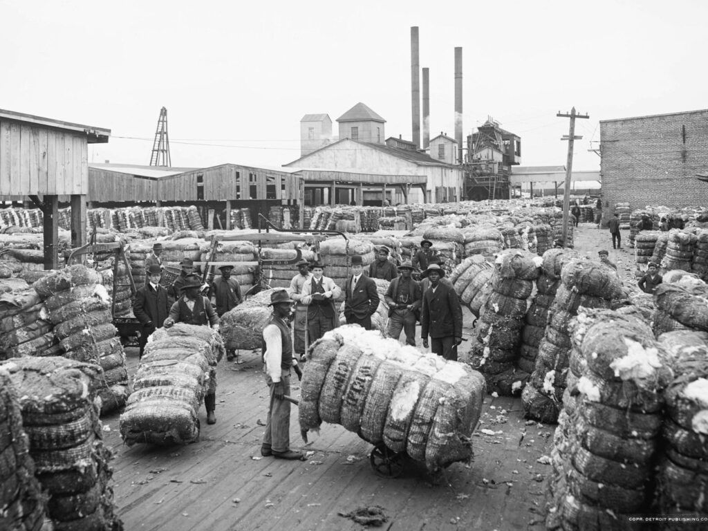 Why Did Slavery Expand In The 19th Century Uncovering The Factors Behind Its Rapid Growth